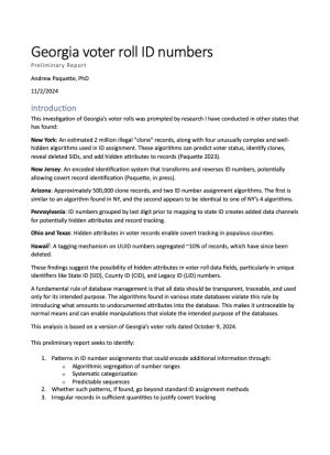 Georgia Voter Roll ID Numbers – Preliminary Report